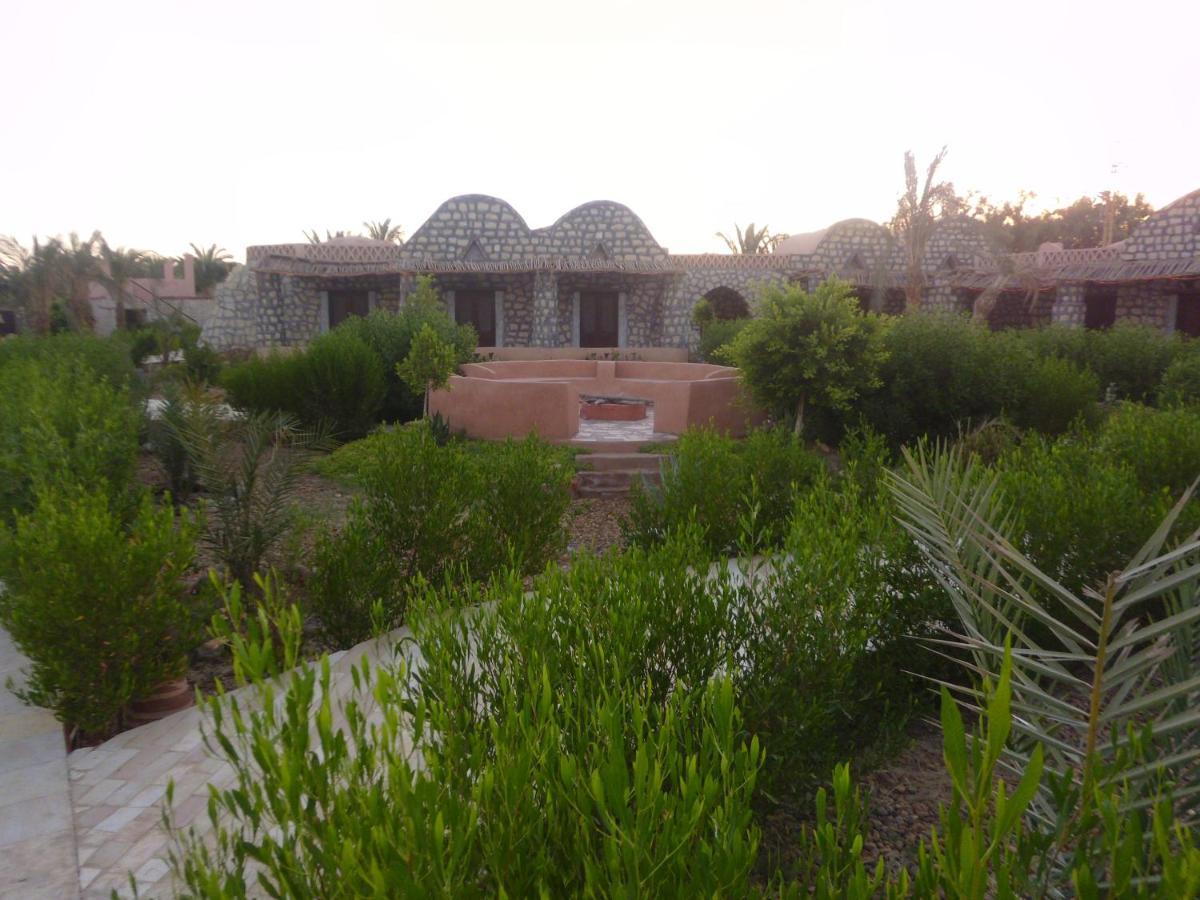 Aliyah Eco-Lodge Bawiti Bagian luar foto