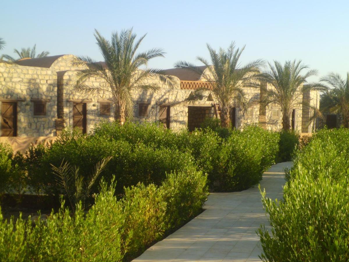 Aliyah Eco-Lodge Bawiti Bagian luar foto