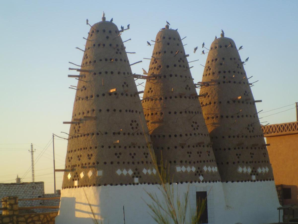 Aliyah Eco-Lodge Bawiti Bagian luar foto