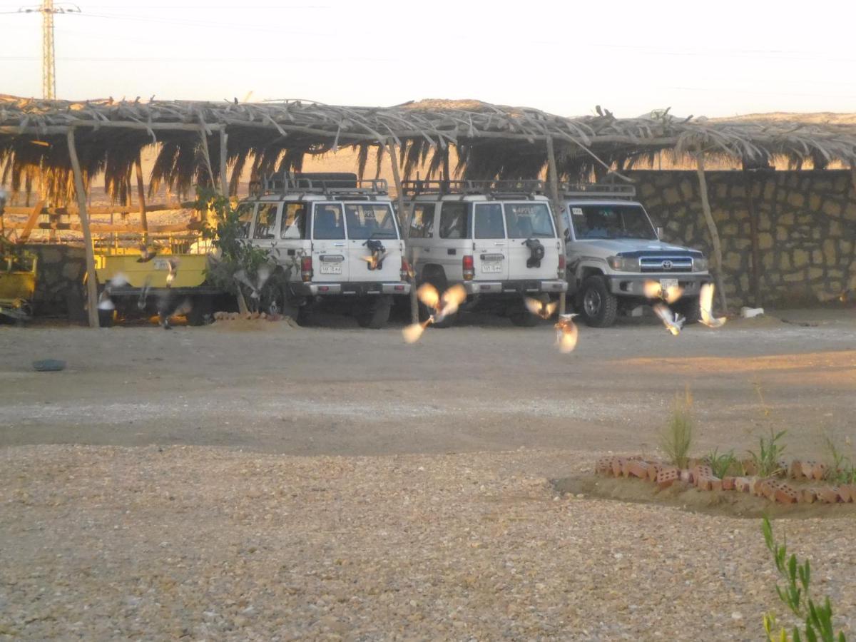 Aliyah Eco-Lodge Bawiti Bagian luar foto