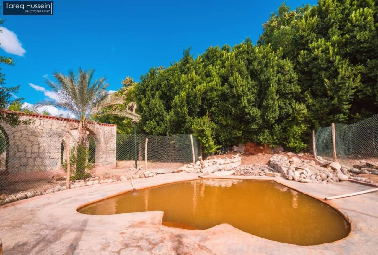 Aliyah Eco-Lodge Bawiti Bagian luar foto